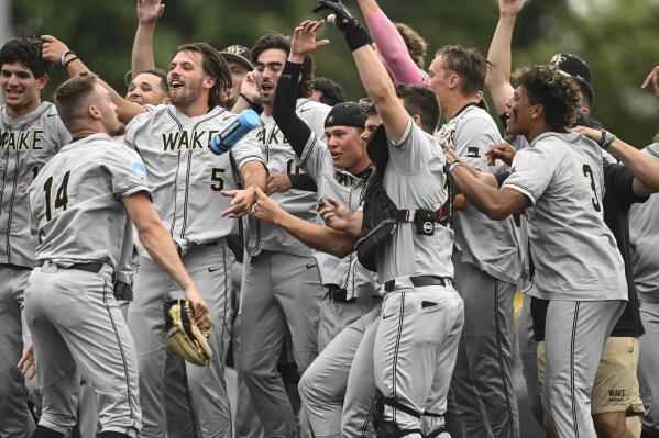 Ncaa baseball national champions hot sale